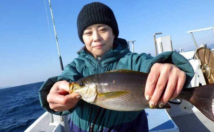 【沖釣り釣果速報】良型クエ登場で船上騒然！イワシ泳がせ釣りで高級食材乱舞（愛知）