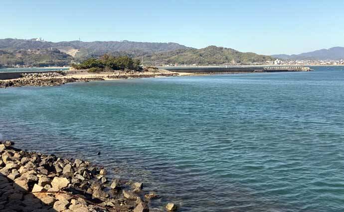 掘り跡が目立つ干潟で「残りポイント」発見！　松島漁場での潮干狩りで良型アサリ確保【愛知】