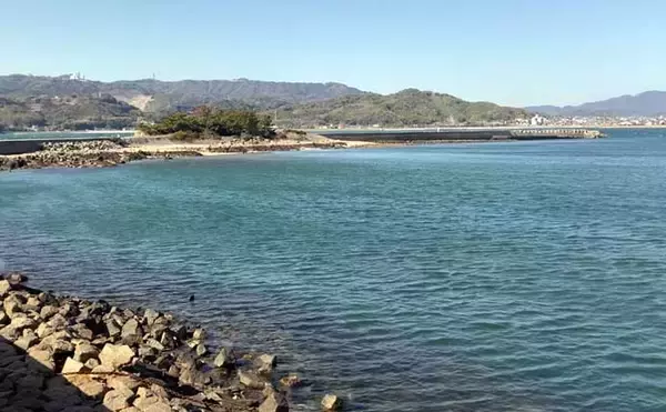 「掘り跡が目立つ干潟で「残りポイント」発見！　松島漁場での潮干狩りで良型アサリ確保【愛知】」の画像