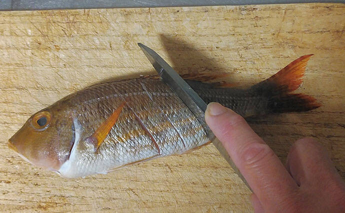 釣魚で作る「日本酒にうってつけ」レシピ：ロギのちょい干し　冷蔵庫で干せば旨み凝縮