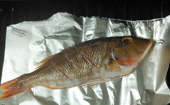 釣魚で作る「日本酒にうってつけ」レシピ：ロギのちょい干し　冷蔵庫で干せば旨み凝縮