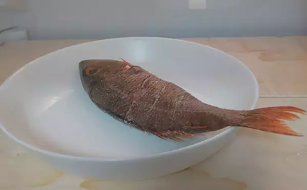 「釣魚で作る「日本酒にうってつけ」レシピ：ロギのちょい干し　冷蔵庫で干せば旨み凝縮」の画像