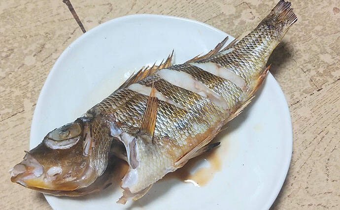 釣魚で作る「日本酒にうってつけ」レシピ：ロギのちょい干し　冷蔵庫で干せば旨み凝縮