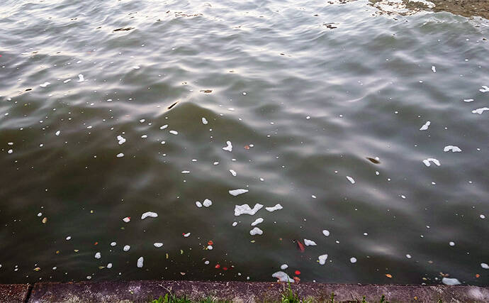 夜のブッコミ釣りで良型ウナギ2尾をキャッチ【愛知県・筏川】ウナギシーズン開幕