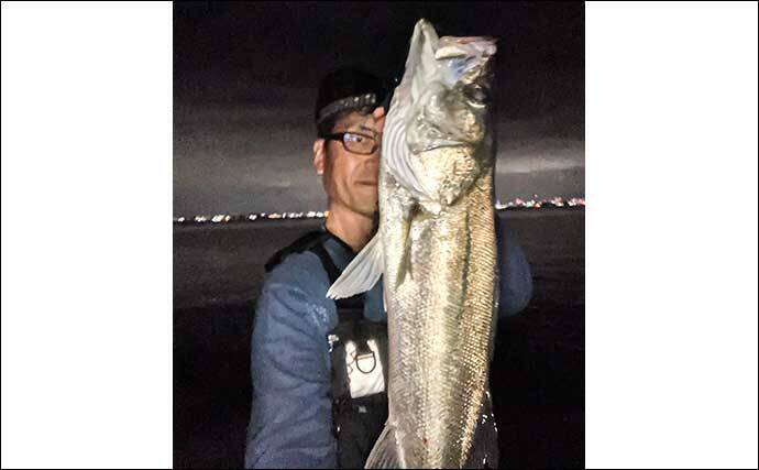 陸っぱりルアーシーバス釣行で65cm本命【博多湾】ゲストにはキビレも