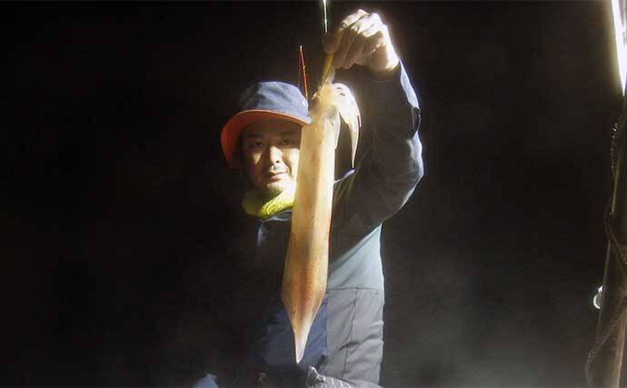 【夜焚きイカ釣果速報】釣る人ヤリイカ70尾前後と好調継続中（福岡）