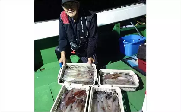 「【夜焚きイカ釣果速報】釣る人ヤリイカ70尾前後と好調継続中（福岡）」の画像