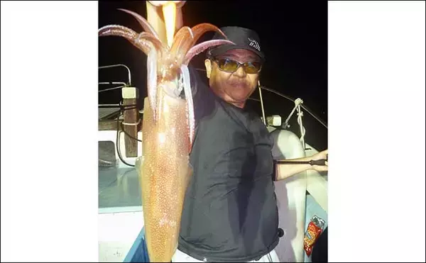 「【夜焚きイカ釣果速報】釣る人ヤリイカ70尾前後と好調継続中（福岡）」の画像
