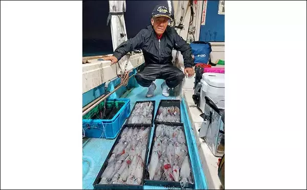 「【夜焚きイカ釣果速報】釣る人ヤリイカ70尾前後と好調継続中（福岡）」の画像