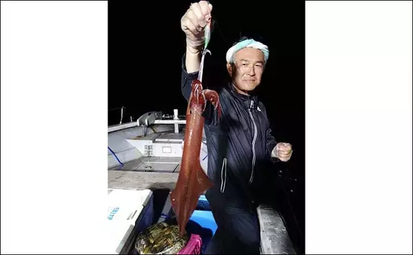 「【夜焚きイカ釣果速報】釣る人ヤリイカ70尾前後と好調継続中（福岡）」の画像