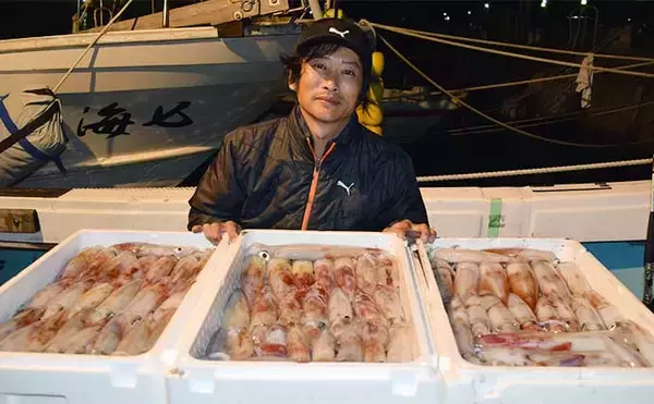 「【夜焚きイカ釣果速報】釣る人ヤリイカ70尾前後と好調継続中（福岡）」の画像