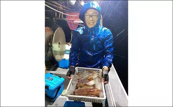 「【夜焚きイカ釣果速報】釣る人ヤリイカ70尾前後と好調継続中（福岡）」の画像