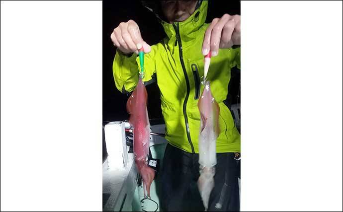【夜焚きイカ釣果速報】釣る人ヤリイカ70尾前後と好調継続中（福岡）
