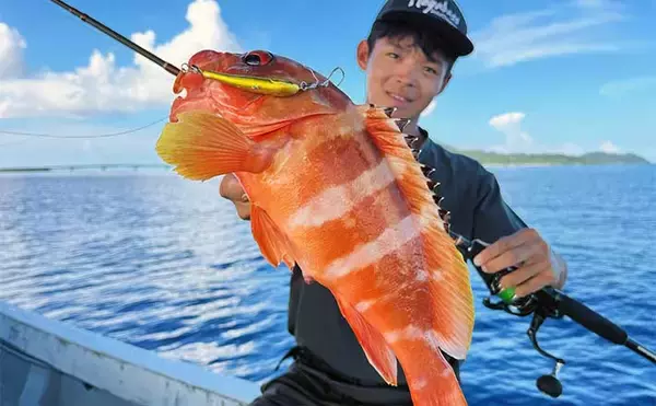 「200円以下で誰でも作れるルアー仕掛け」高級根魚が入れ食い！【沖縄・伊是名島】