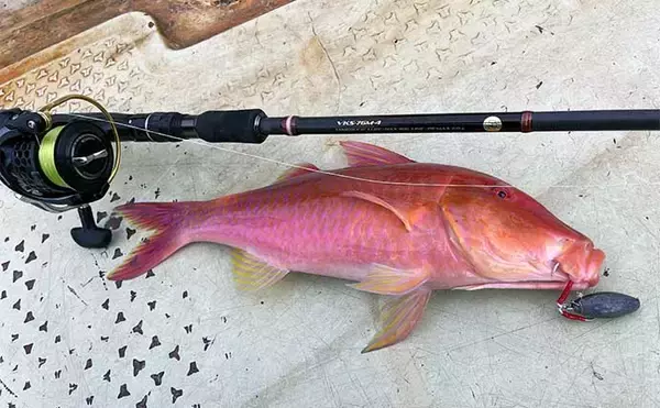 「「200円以下で誰でも作れるルアー仕掛け」高級根魚が入れ食い！【沖縄・伊是名島】」の画像