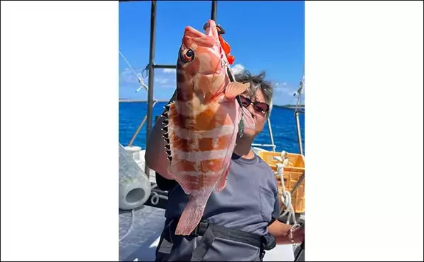 「「200円以下で誰でも作れるルアー仕掛け」高級根魚が入れ食い！【沖縄・伊是名島】」の画像