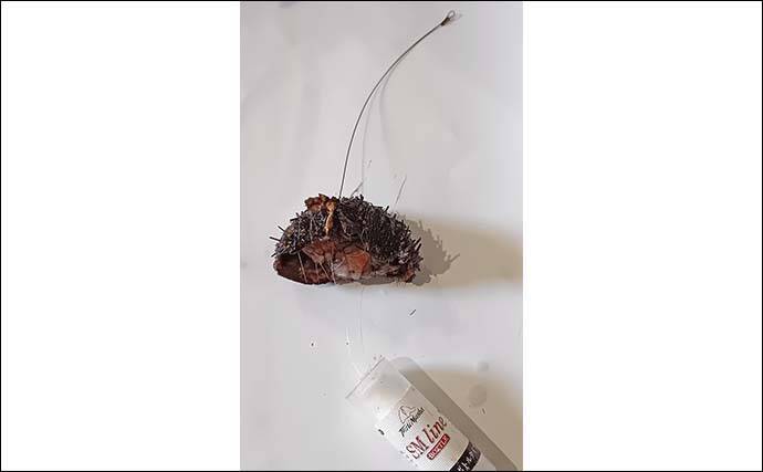 「潮変わりで状況一変！」沖磯の石物釣りで1kg超えイシガキダイやゲストのブダイを好捕【神奈川】