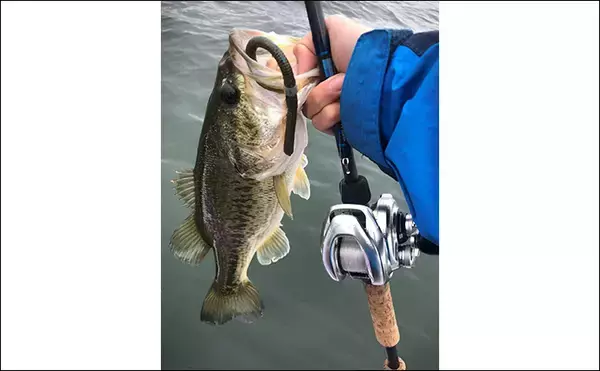 「【マイクロガイドのメリット・デメリット】 バス釣りでの本当の使いどころを解説」の画像