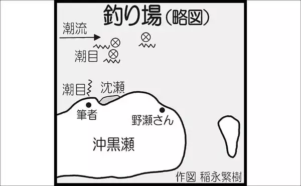 「「上五島の寒グロ本番！」沖磯フカセ釣りで47〜49cm良型連発【長崎】」の画像