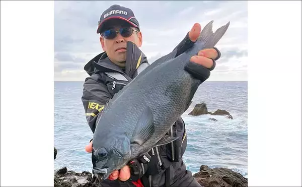 「「上五島の寒グロ本番！」沖磯フカセ釣りで47〜49cm良型連発【長崎】」の画像