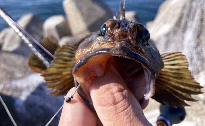 穴釣りは「風・潮位・潮回り」の海況チェックが大事なワケとは？　安全＆釣果に影響大