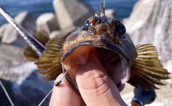 「穴釣りは「風・潮位・潮回り」の海況チェックが大事なワケとは？　安全＆釣果に影響大」の画像