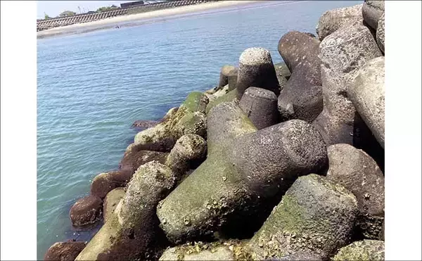 「穴釣りは「風・潮位・潮回り」の海況チェックが大事なワケとは？　安全＆釣果に影響大」の画像