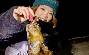 牛深の地磯エギングで良型アオリイカ3尾キャッチ【熊本・天草】880gで自己記録更新