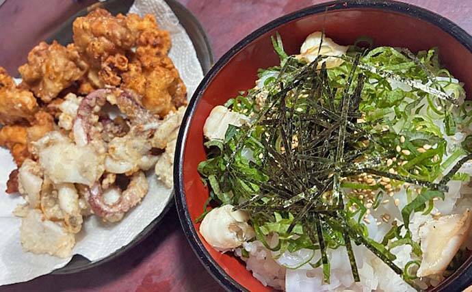 牛深の地磯エギングで良型アオリイカ3尾キャッチ【熊本・天草】880gで自己記録更新