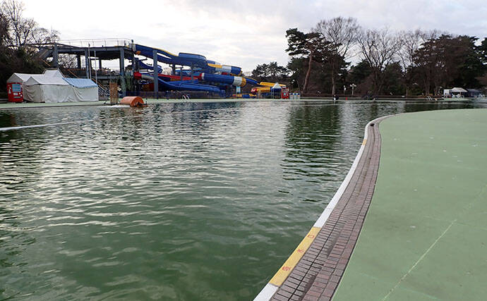 『多摩湖駅前FA』でのフライフィッシング釣行でニジマス「つ抜け」達成！