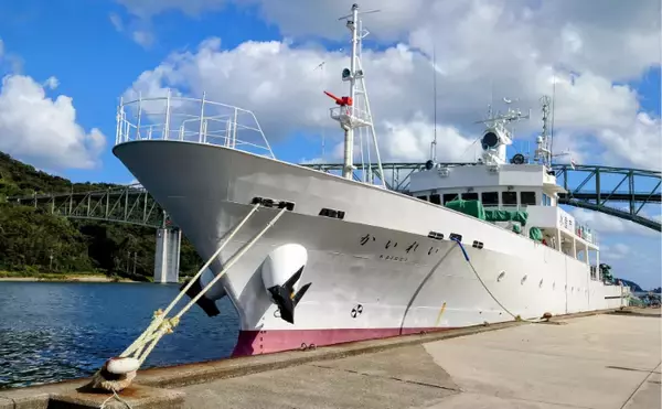 「「春は一般人の密猟が増える季節？」　貝や海藻に採取にはくれぐれもご注意を！」の画像