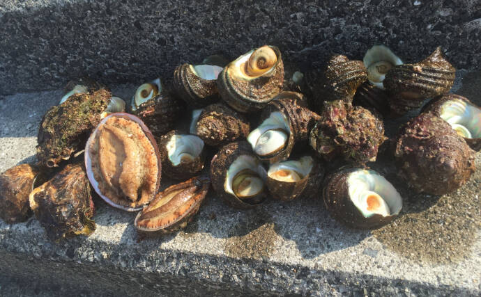 「春は一般人の密猟が増える季節？」　貝や海藻に採取にはくれぐれもご注意を！