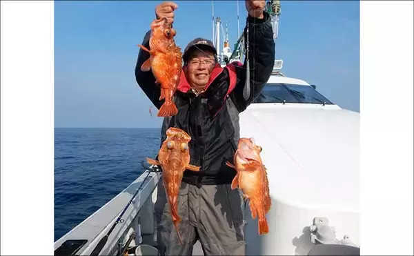 「沖五目釣りでタカバ（マハタ）に沖アラカブを好捕【第二大福丸・福岡】」の画像
