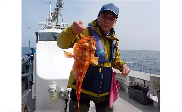 「沖五目釣りでタカバ（マハタ）に沖アラカブを好捕【第二大福丸・福岡】」の画像
