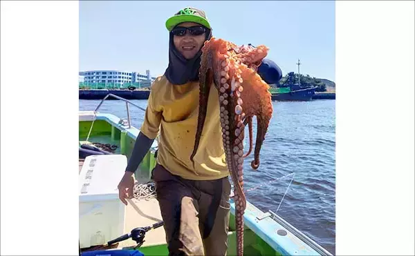 「東京湾横浜沖のエギタコ釣りで3.8kg頭に良型マダコが続々ヒット！【黒川本家】」の画像