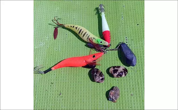 「東京湾横浜沖のエギタコ釣りで3.8kg頭に良型マダコが続々ヒット！【黒川本家】」の画像