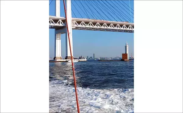 「東京湾横浜沖のエギタコ釣りで3.8kg頭に良型マダコが続々ヒット！【黒川本家】」の画像