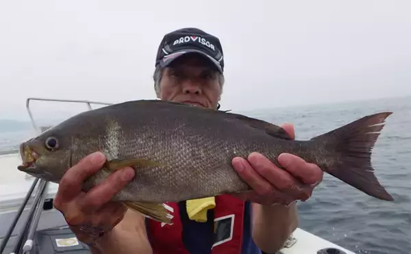 「【最新釣果】ジギングでカンパチ登場！例年より2ヶ月早い開幕（大分・熊本）」の画像