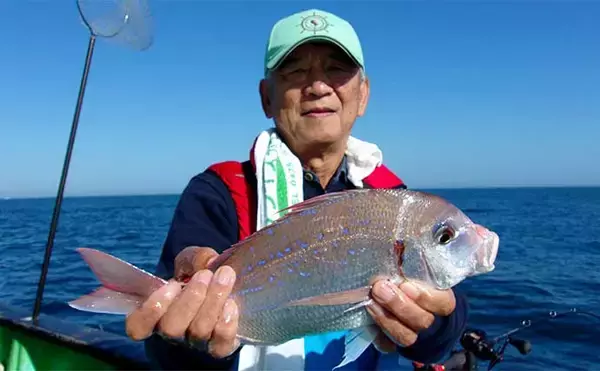 「片貝沖のコマセ五目釣りで35cm級頭に釣る人ハナダイ40尾【千葉・増栄丸】」の画像