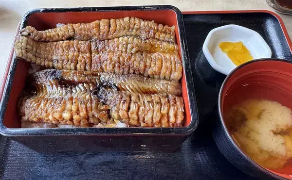 「ウナギを超えるアブラギッシュな魚を発見　深海の新名物「黒ハモ」を食べてみた」の画像