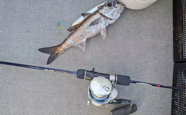 「志摩沖の中深海ジギングで良型クロムツが連発！【へいみつ丸】ステイパターンが的中」の画像