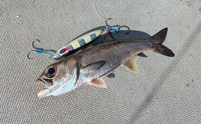 志摩沖の中深海ジギングで良型クロムツが連発！【へいみつ丸】ステイパターンが的中