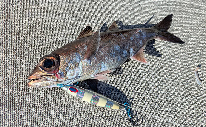 志摩沖の中深海ジギングで良型クロムツが連発！【へいみつ丸】ステイパターンが的中