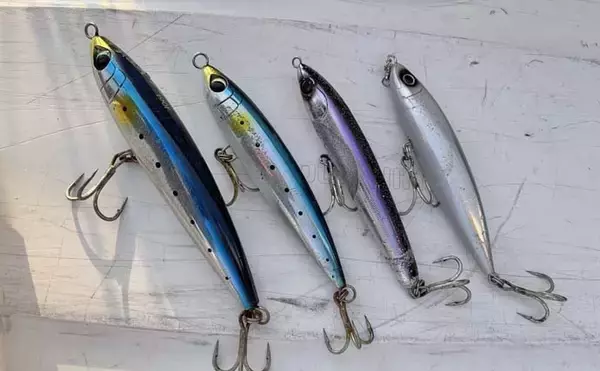 「遠州灘のブリトップゲームでワラサ＆ハマチ好反応【静岡】捕食＆バイト丸見えの9バイト7キャッチ」の画像