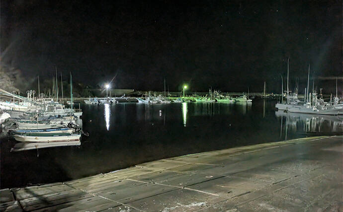 南紀のライトソルトゲームで新規開拓【和歌山】ガシラ主体にオオモンハタをキャッチ