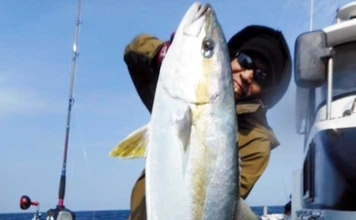 【沖釣り釣果速報】落とし込み五目で衝撃サイズ！136cm18.5kgヒラマサ登場（福岡）