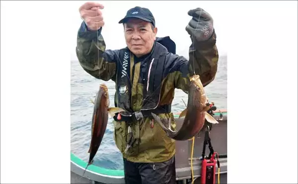 「【沖釣り釣果速報】落とし込み五目で衝撃サイズ！136cm18.5kgヒラマサ登場（福岡）」の画像