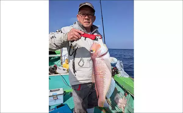 「【沖釣り釣果速報】落とし込み五目で衝撃サイズ！136cm18.5kgヒラマサ登場（福岡）」の画像