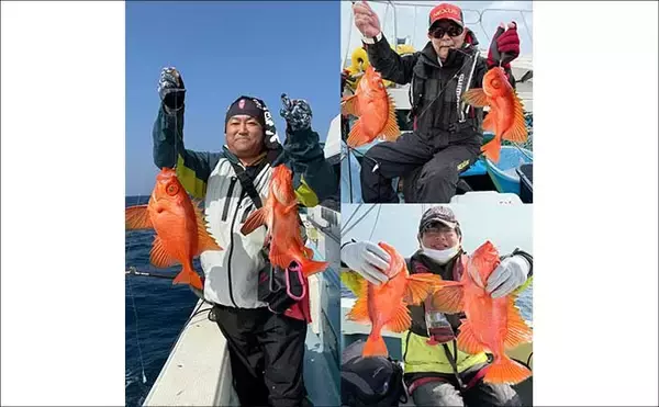 「【沖釣り釣果速報】落とし込み五目で衝撃サイズ！136cm18.5kgヒラマサ登場（福岡）」の画像
