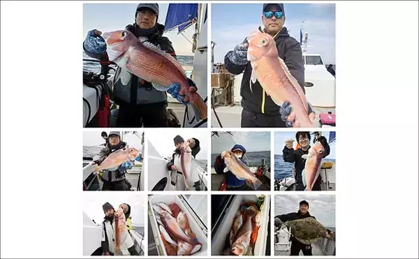 「【沖釣り釣果速報】落とし込み五目で衝撃サイズ！136cm18.5kgヒラマサ登場（福岡）」の画像